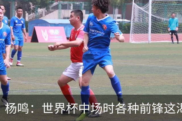 杨鸣：世界杯中场时各种前锋这渴了那饿了全来了 谁能记住后卫呢